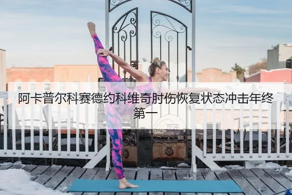 阿卡普尔科赛德约科维奇肘伤恢复状态冲击年终第一